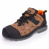 PROCERA MARRONE S3 SRC